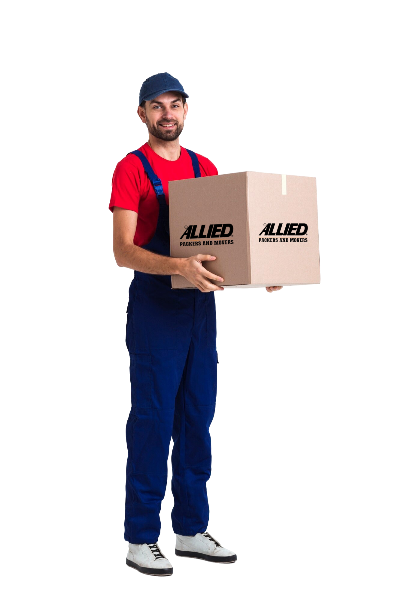 allied